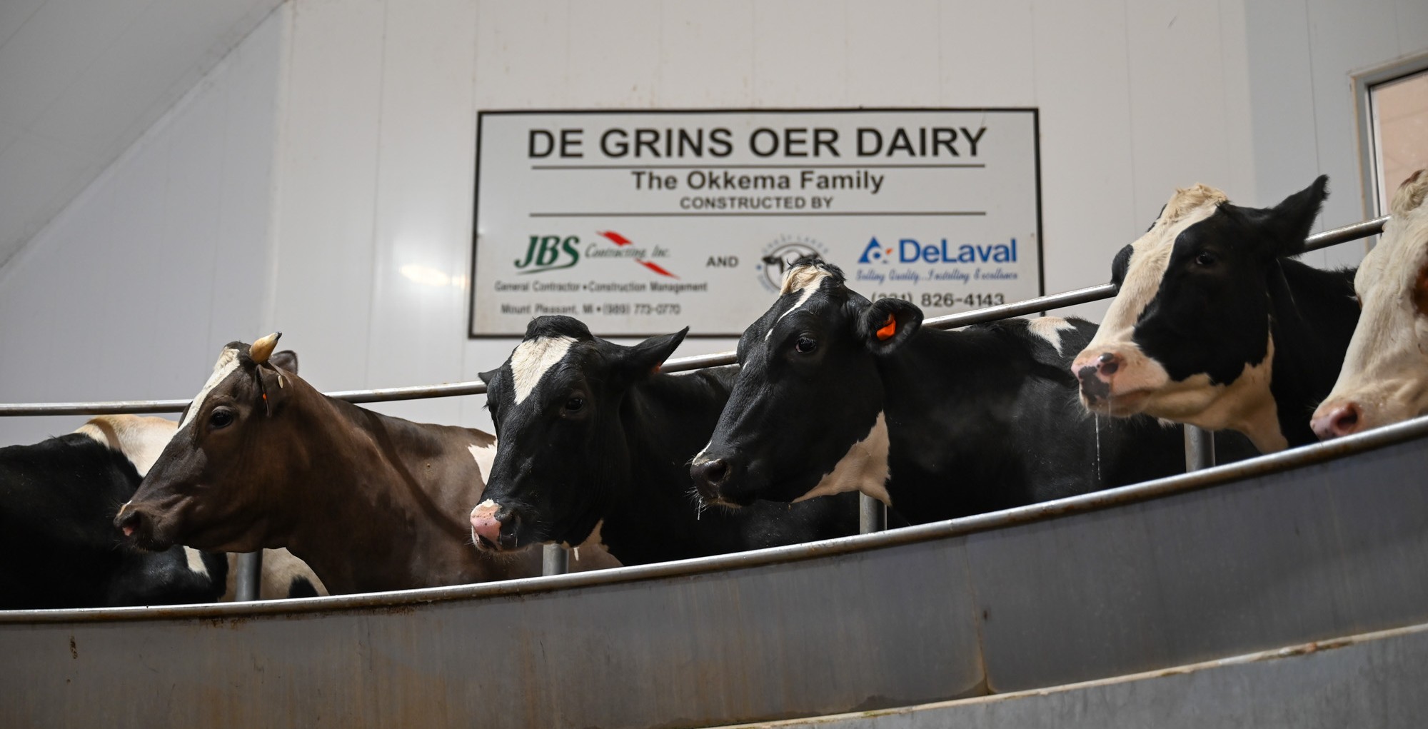 DFoY De Grins Oer 5.jpg